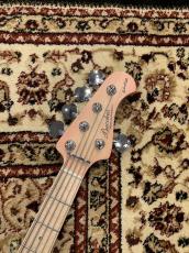 Bacchus WL5-BP-AC/M SYP-BS-MH 【4.96kg】_4