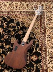 Bacchus WL5-BP-AC/M SYP-BS-MH 【4.96kg】_6