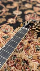 Gretsch G6122T-62 Vintage Select Edition '62 Chet Atkins? Country Gentleman? #JT25062008_4