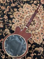 Gretsch G6122T-62 Vintage Select Edition '62 Chet Atkins? Country Gentleman? #JT25062008_6