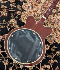 Gretsch G6122T-62 Vintage Select Edition '62 Chet Atkins? Country Gentleman? #JT25062008_7