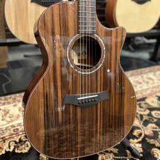 Taylor Custom GA #13027 cocobolo/Shinker 【送料当社負担・最大48回分割無金利】