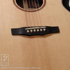 Morris SC-71 (Spruce / Rosewood)_11
