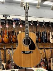 YAMAHA 【オープンセール価格!11月30日(日)まで・ハカランダ単板】 L-53 Custom 1981年製_2