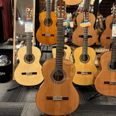 Paco Castillo パコ・カスティージョ CTM 203NE C 杉・ローズウッド_2