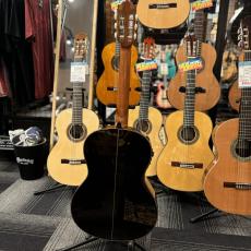 Paco Castillo パコ・カスティージョ CTM 203NE C 杉・ローズウッド_3