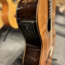 Paco Castillo パコ・カスティージョ CTM 203NE C 杉・ローズウッド_5