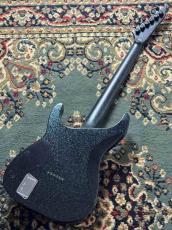 E-II HORIZON NT HS Granite Sparkle 6弦 / HIPSHOT Fixed ブリッジ搭載, Fishman PU 【OEG-921】_5