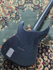 E-II HORIZON NT HS Granite Sparkle 6弦 / HIPSHOT Fixed ブリッジ搭載, Fishman PU 【OEG-921】_6