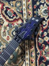 E-II FRX FM Reindeer Blue _4