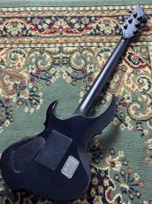 E-II FRX FM Reindeer Blue _5