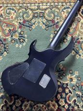 E-II FRX FM Reindeer Blue _6