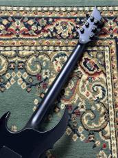 E-II FRX FM Reindeer Blue _7