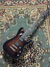 E-II HORIZON NT FM Dark Brown Sunburst _2