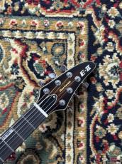 E-II HORIZON NT FM Dark Brown Sunburst _4