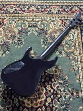 E-II HORIZON NT FM Dark Brown Sunburst _5