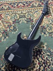 E-II HORIZON NT-II Tiger Eye Amber Fade _4