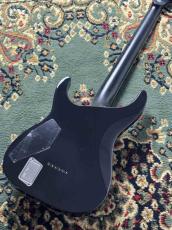 E-II HORIZON NT-II Tiger Eye Amber Fade _5