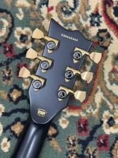 E-II EC DB Vintage Black ECLIPSE_8