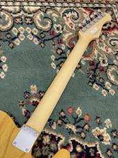 FUJIGEN NTE100MAHL-VNT/01 (Spot)(Lefty) #A240314_7