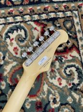 FUJIGEN NTE100MAHL-VNT/01 (Spot)(Lefty) #A240314_8