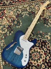 FUJIGEN NTE100MAHT-SBB/01 #G250118_2