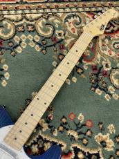 FUJIGEN NTE100MAHT-SBB/01 #G250118_3