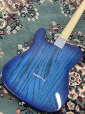 FUJIGEN NTE100MAHT-SBB/01 #G250118_5