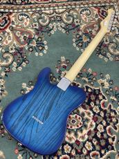 FUJIGEN NTE100MAHT-SBB/01 #G250118_6