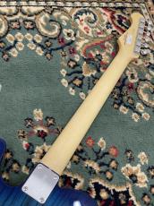 FUJIGEN NTE100MAHT-SBB/01 #G250118_7