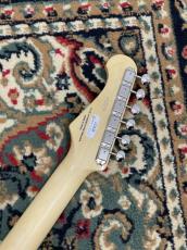 FUJIGEN NTE100MAHT-SBB/01 #G250118_8