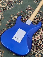 FUJIGEN BCST100RBD-MBL #H240089_5