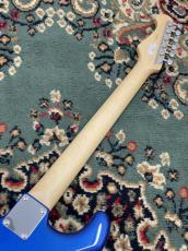 FUJIGEN BCST100RBD-MBL #H240089_7