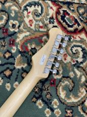 FUJIGEN BCST100RBD-MBL #H240089_8