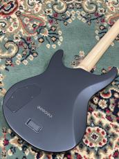 FUJIGEN EEL-DE/MBK/13 #B250232_5