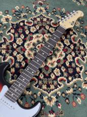 FUJIGEN BCST100RBD-3TS #H240093_3