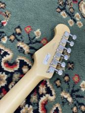 FUJIGEN BCST100RBD-3TS #H240093_8