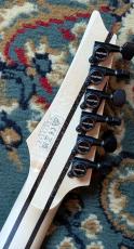 Ibanez RG8620AH  BQZ【OEG-861】_9