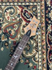 Paul Reed Smith [PRS] SE Custom 24-08 - TU - Turquoise _4