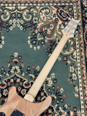 Paul Reed Smith [PRS] SE Custom 24-08 - TU - Turquoise _7