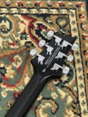 Paul Reed Smith [PRS] SE Custom 24 Quilt package - VI - Violet _9