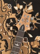 Paul Reed Smith [PRS] SE Custom 24 - BF - Blue Fade _4