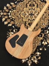 Paul Reed Smith [PRS] SE Custom 24 - BF - Blue Fade _6