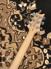 Paul Reed Smith [PRS] SE Custom 24 - BF - Blue Fade _8