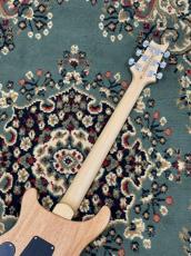 Paul Reed Smith [PRS] SE Custom 24 - BN - Blue Matteo (Natural Back) _6