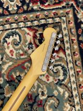 Fender American Professional Classic Stratocaster HSS -Faded Sherwood Green Metallic- #US25053936 _8