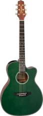 Takamine LTD2025【送料当社負担・最大48回分割無金利】