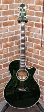 Takamine CTM TSP178AC Quilt Green #63050290【送料当社負担・最大48回分割無金利】_2