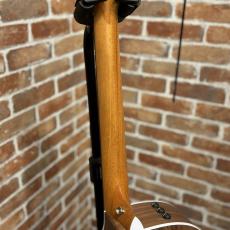 Taylor 214ce Walnut #2202215377 【送料当社負担・最大48回分割無金利】_6