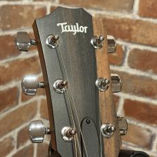 Taylor 214ce Walnut #2202215377 【送料当社負担・最大48回分割無金利】_7